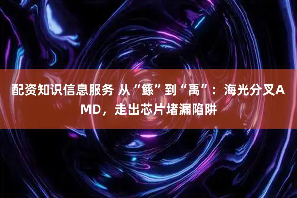 配资知识信息服务 从“鲧”到“禹”：海光分叉AMD，走出芯片堵漏陷阱